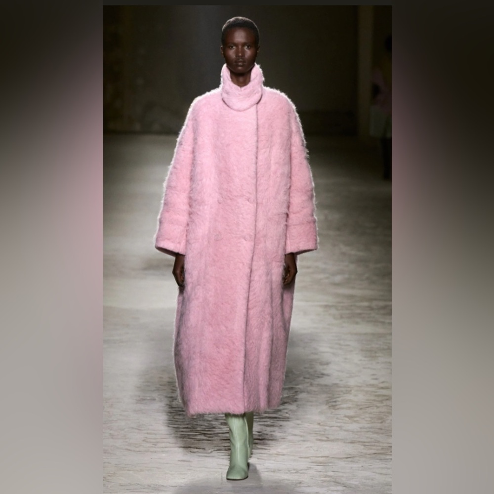 Dries Van Noten Oversized Brushed Wool-Blend Coat — Runway Edition Size M $3715 - Picture 2 of 11